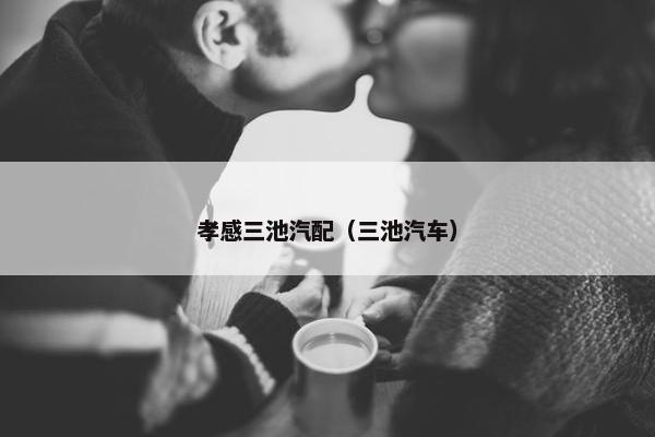 孝感三池汽配（三池汽车）