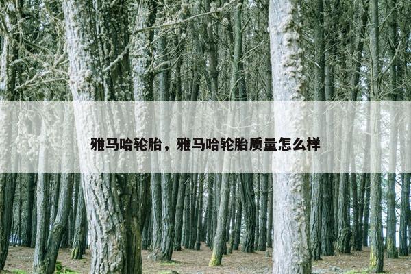 雅马哈轮胎，雅马哈轮胎质量怎么样
