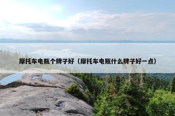 摩托车电瓶个牌子好（摩托车电瓶什么牌子好一点）