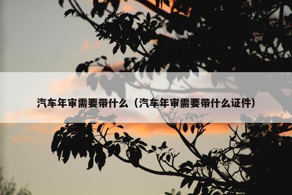 汽车年审需要带什么（汽车年审需要带什么证件）