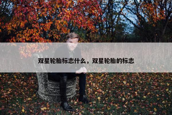双星轮胎标志什么，双星轮胎的标志