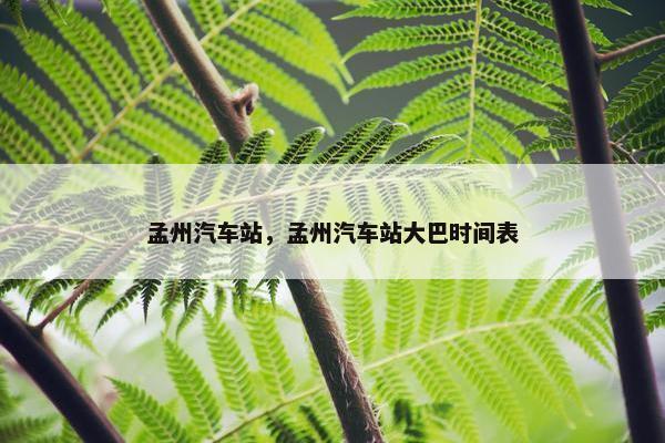 孟州汽车站，孟州汽车站大巴时间表