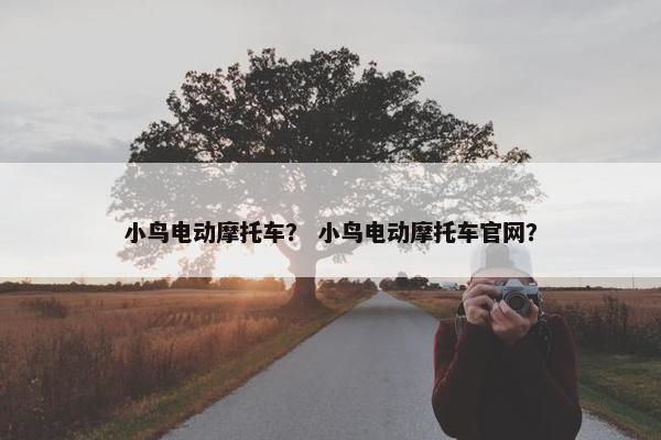 小鸟电动摩托车？ 小鸟电动摩托车官网？
