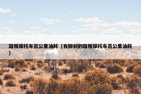 踏板摩托车百公里油耗（有脚刹的踏板摩托车百公里油耗）