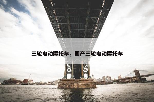 三轮电动摩托车，国产三轮电动摩托车