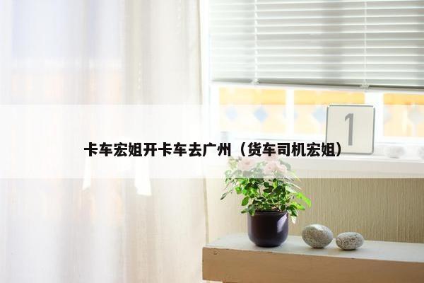 卡车宏姐开卡车去广州（货车司机宏姐）
