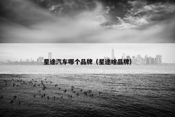星途汽车哪个品牌（星途啥品牌）