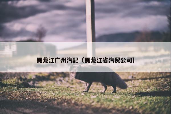 黑龙江广州汽配（黑龙江省汽贸公司）