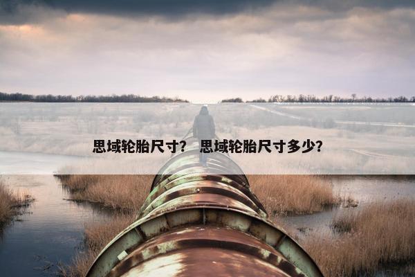 思域轮胎尺寸？ 思域轮胎尺寸多少？