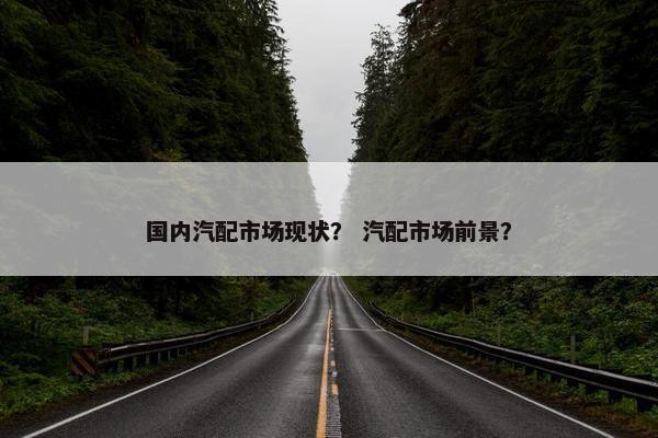 国内汽配市场现状？ 汽配市场前景？