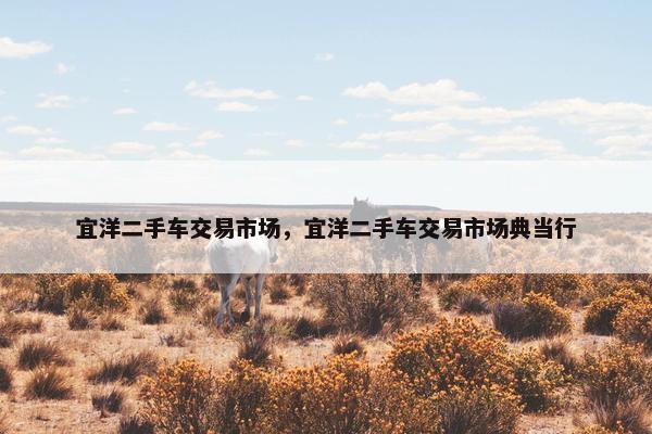 宜洋二手车交易市场，宜洋二手车交易市场典当行