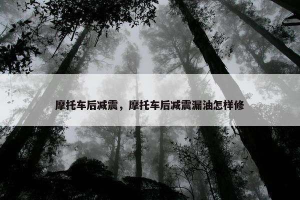 摩托车后减震，摩托车后减震漏油怎样修