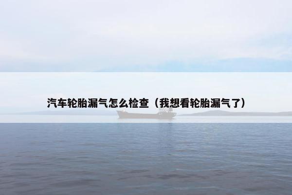 汽车轮胎漏气怎么检查（我想看轮胎漏气了）