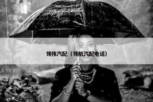 领伟汽配（领航汽配电话）