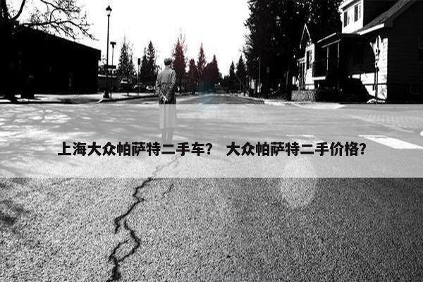 上海大众帕萨特二手车？ 大众帕萨特二手价格？