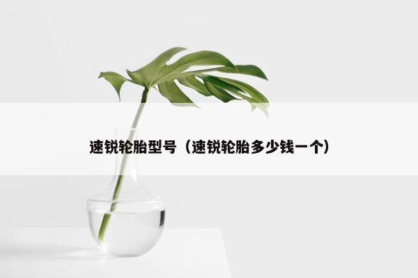 速锐轮胎型号（速锐轮胎多少钱一个）