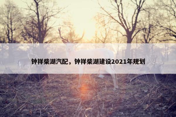 钟祥柴湖汽配，钟祥柴湖建设2021年规划