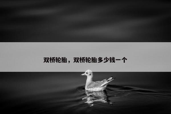 双桥轮胎，双桥轮胎多少钱一个