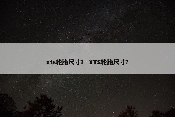 xts轮胎尺寸？ XTS轮胎尺寸？