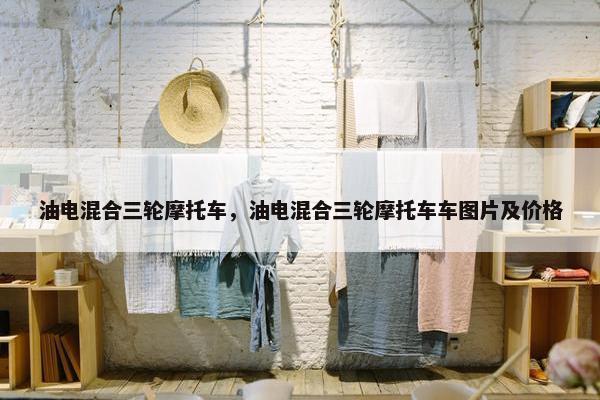 油电混合三轮摩托车，油电混合三轮摩托车车图片及价格