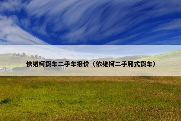 依维柯货车二手车报价（依维柯二手厢式货车）