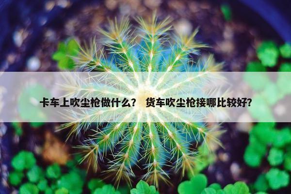 卡车上吹尘枪做什么？ 货车吹尘枪接哪比较好？