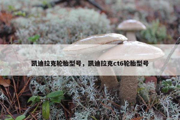 凯迪拉克轮胎型号，凯迪拉克ct6轮胎型号