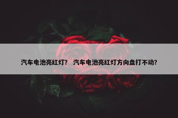 汽车电池亮红灯？ 汽车电池亮红灯方向盘打不动？