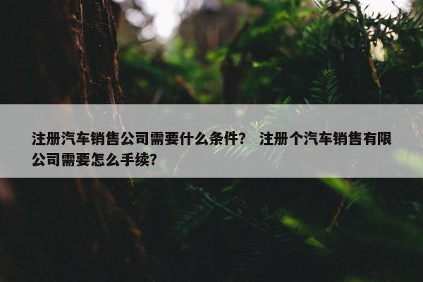 注册汽车销售公司需要什么条件？ 注册个汽车销售有限公司需要怎么手续？