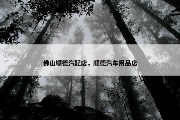 佛山顺德汽配店，顺德汽车用品店