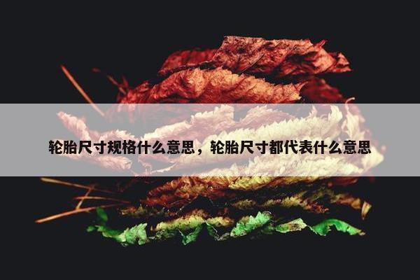 轮胎尺寸规格什么意思，轮胎尺寸都代表什么意思