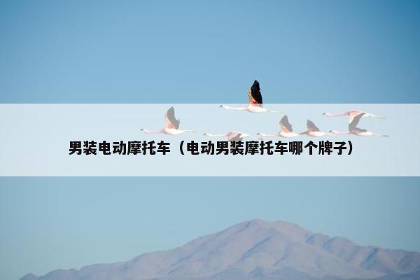 男装电动摩托车（电动男装摩托车哪个牌子）