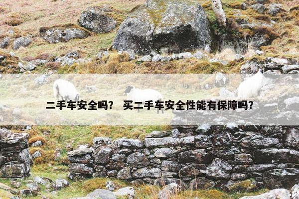 二手车安全吗？ 买二手车安全性能有保障吗？