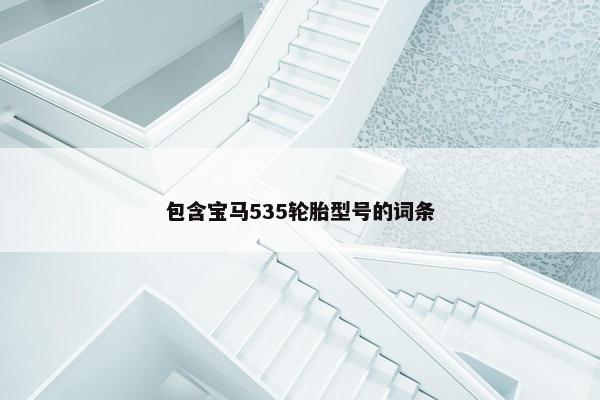 包含宝马535轮胎型号的词条