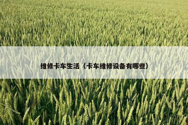 维修卡车生活（卡车维修设备有哪些）