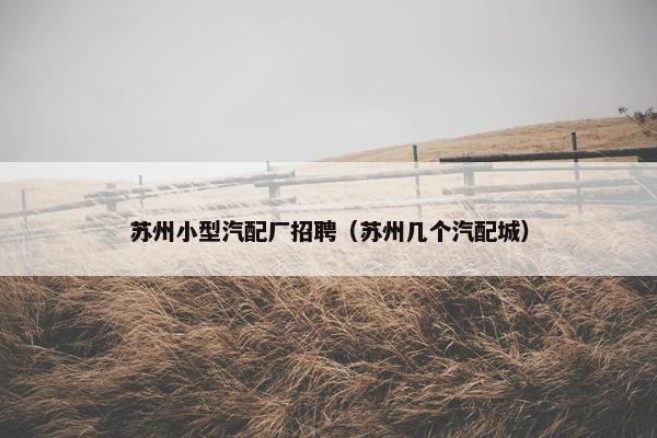 苏州小型汽配厂招聘（苏州几个汽配城）
