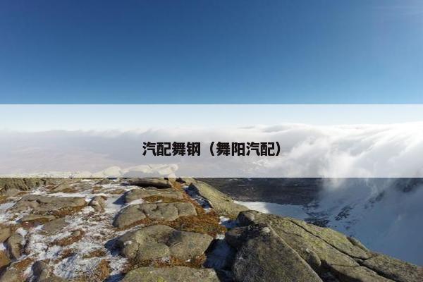 汽配舞钢（舞阳汽配）