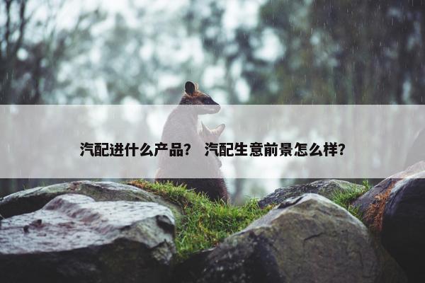 汽配进什么产品？ 汽配生意前景怎么样？
