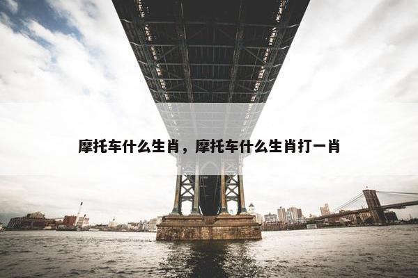 摩托车什么生肖，摩托车什么生肖打一肖