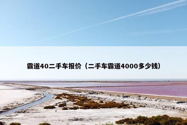 霸道40二手车报价（二手车霸道4000多少钱）