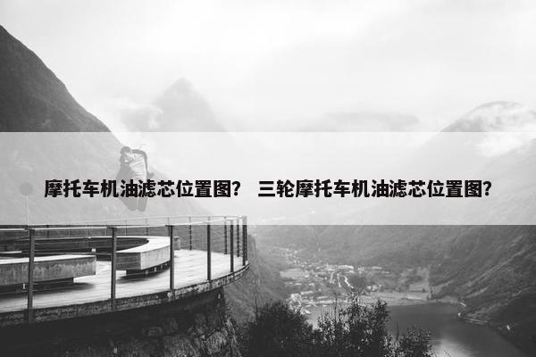 摩托车机油滤芯位置图？ 三轮摩托车机油滤芯位置图？
