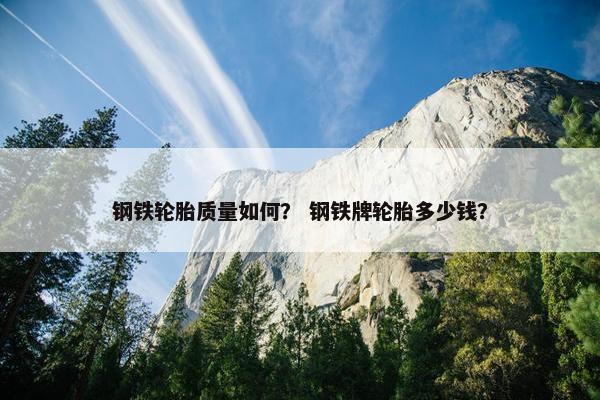 钢铁轮胎质量如何？ 钢铁牌轮胎多少钱？