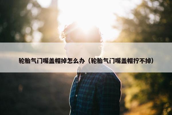 轮胎气门嘴盖帽掉怎么办（轮胎气门嘴盖帽拧不掉）