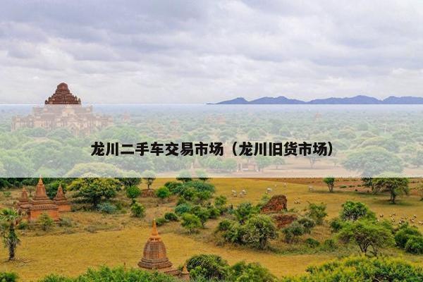 龙川二手车交易市场（龙川旧货市场）