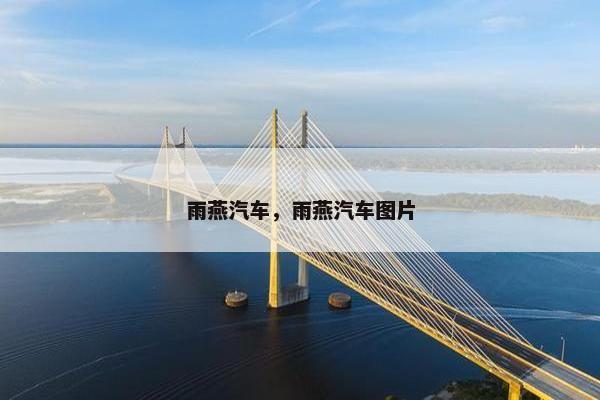 雨燕汽车，雨燕汽车图片