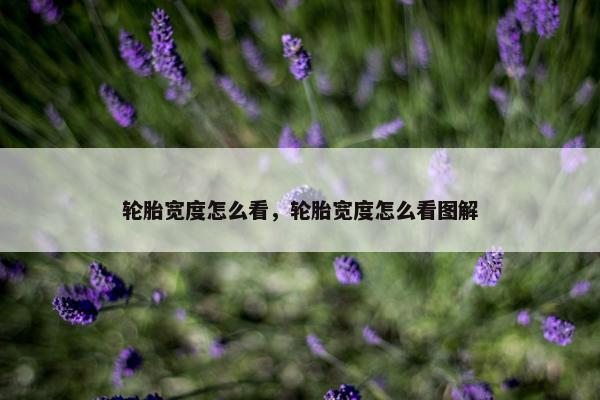 轮胎宽度怎么看，轮胎宽度怎么看图解