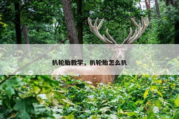 扒轮胎教学，扒轮胎怎么扒