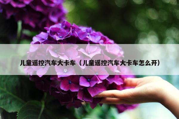 儿童遥控汽车大卡车（儿童遥控汽车大卡车怎么开）