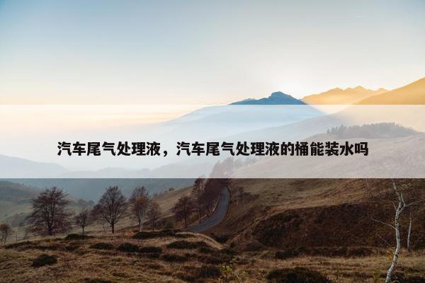 汽车尾气处理液，汽车尾气处理液的桶能装水吗