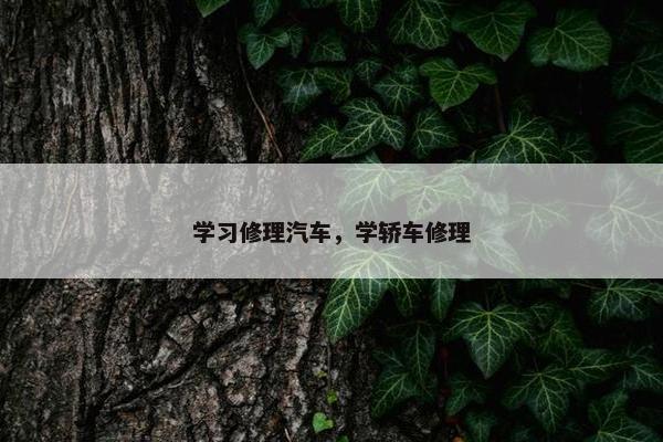 学习修理汽车，学轿车修理